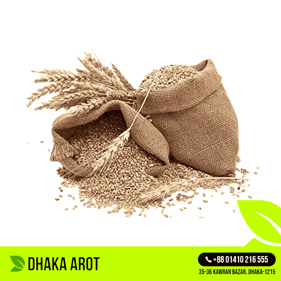 Whole Wheat (গম)