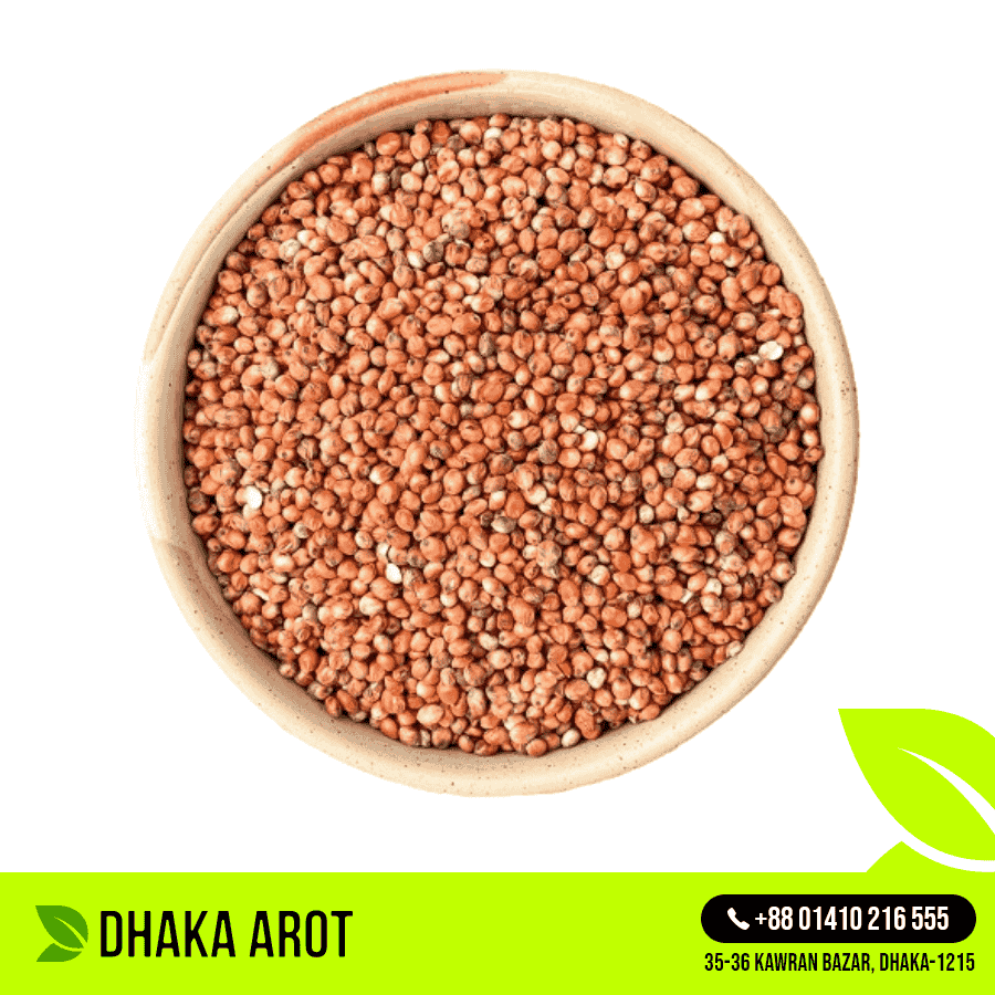 Sorghum (জোয়ার)