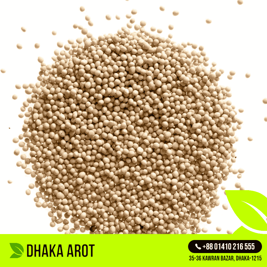 White Mustard (সাদা সরিষা)