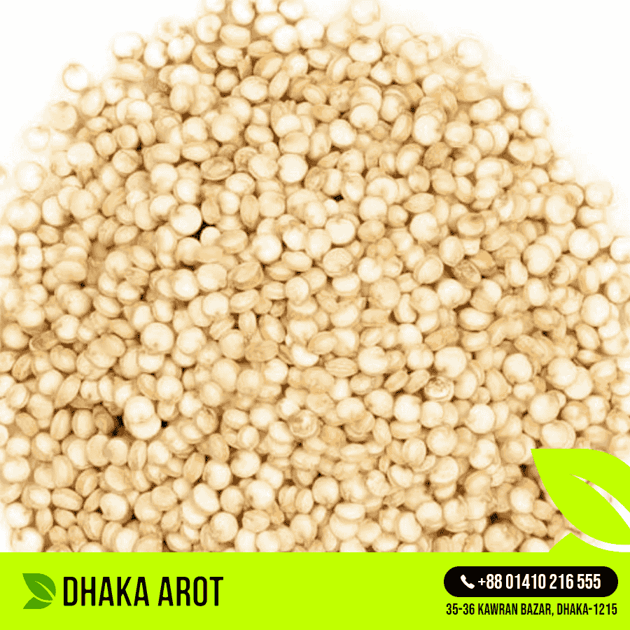 Quinoa (কুইনোয়া)