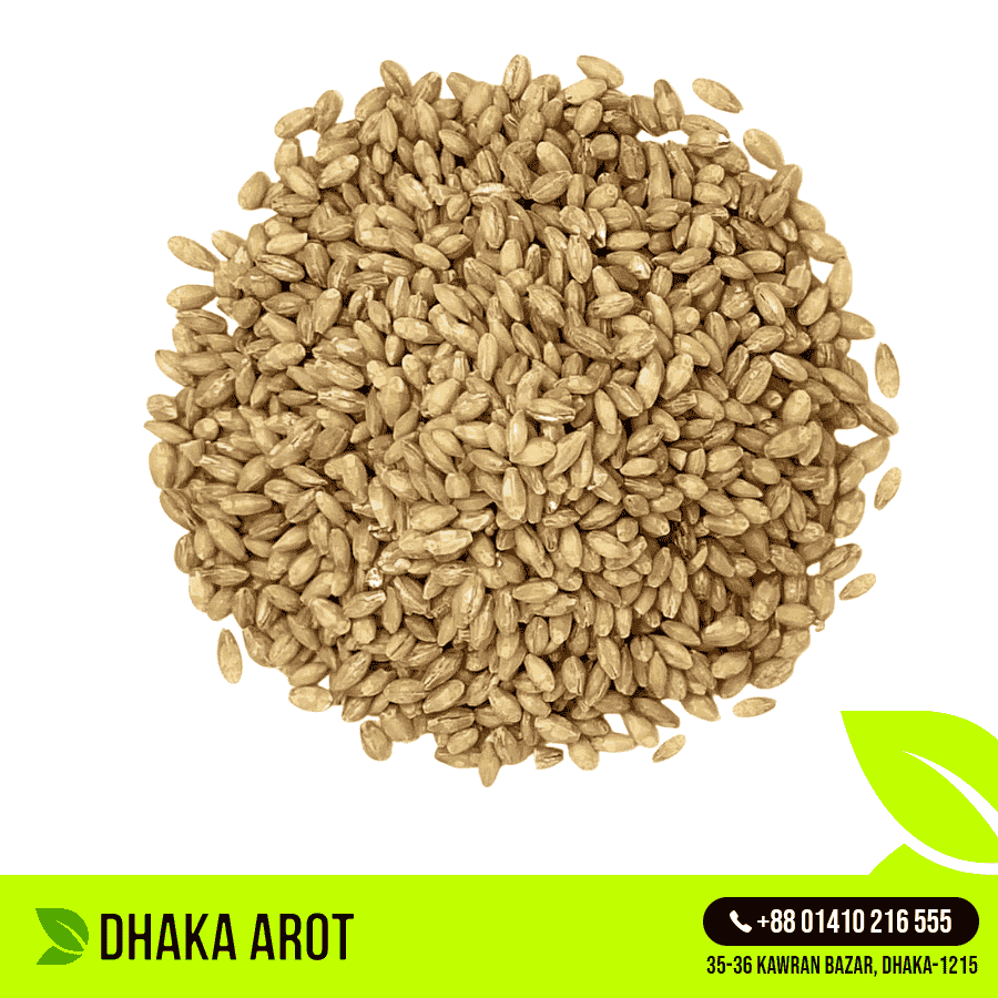 Barley (যব)