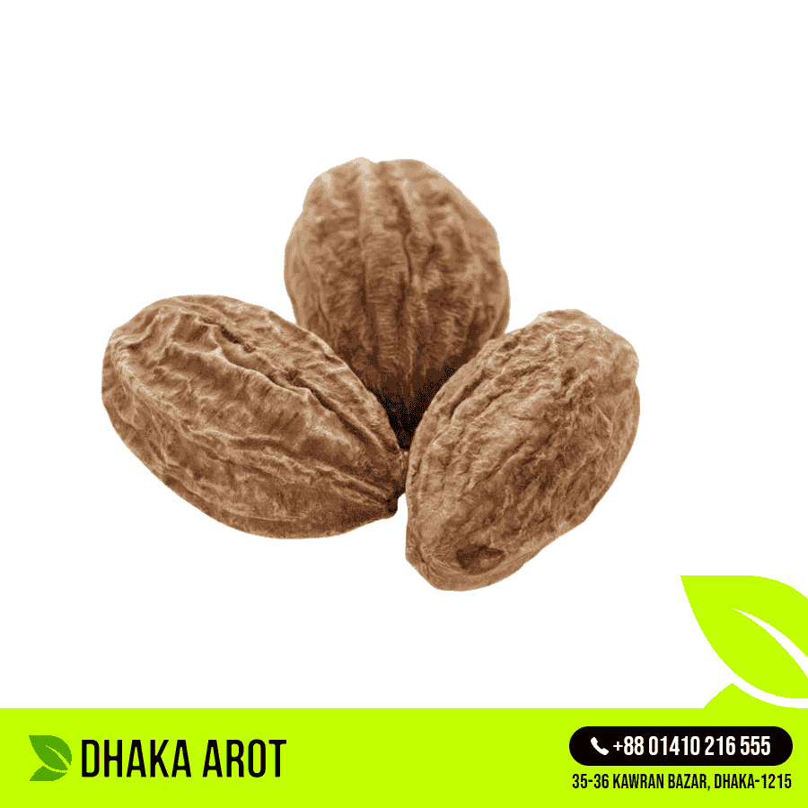 Haritaki (হরিতকী)