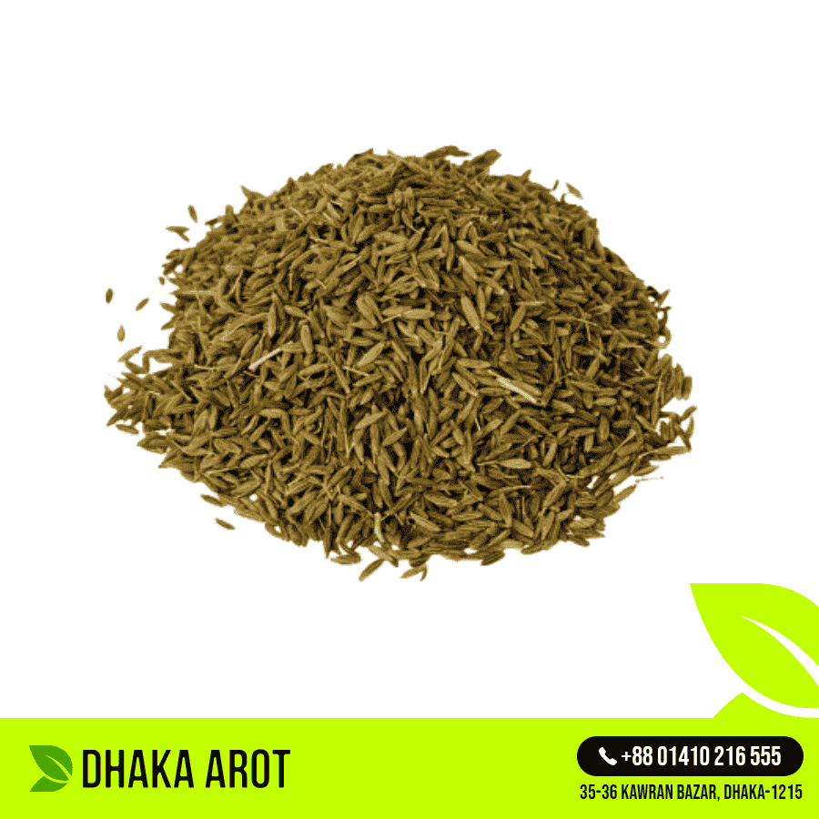 Cumin - Indian (জিরা - ইন্ডিয়া)