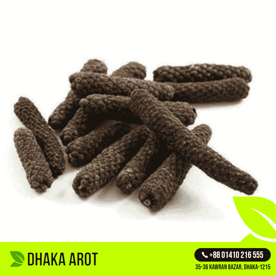 Long Pepper (পিপ্পলী / লম্বা মরিচ)