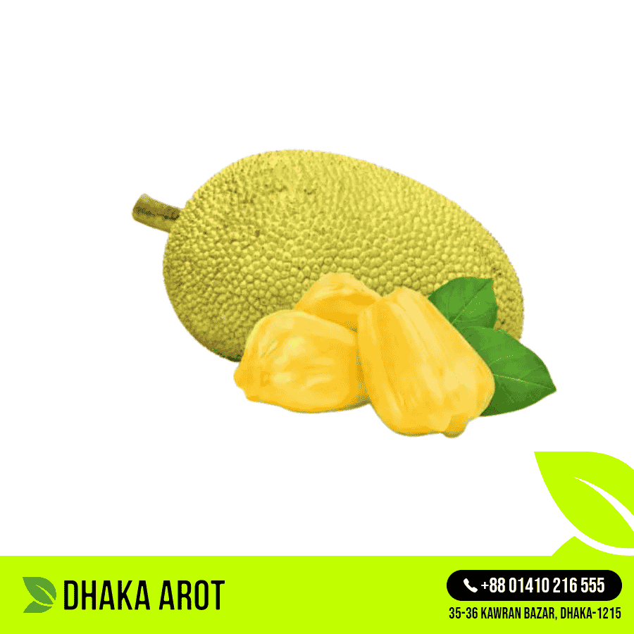 Jackfruit (কাঁঠাল)